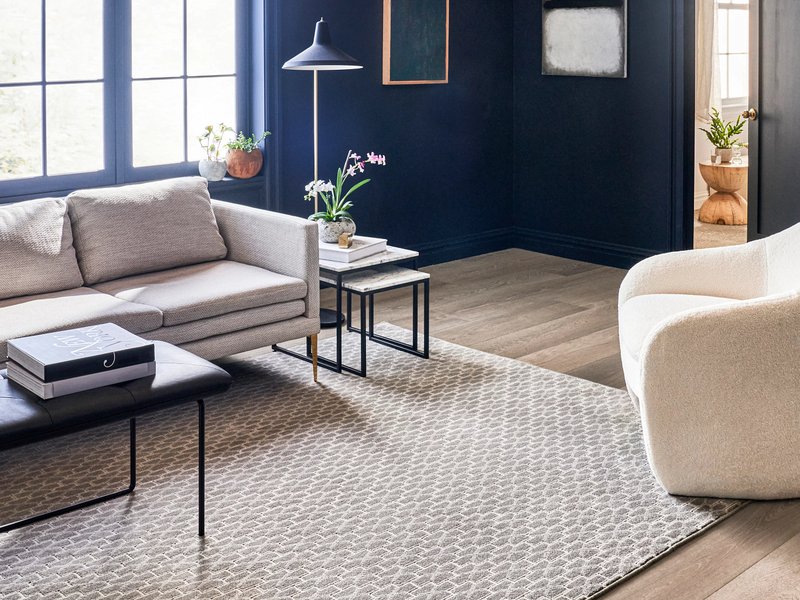 light grey rug in living room with dark blue walls